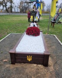Трава та каміння